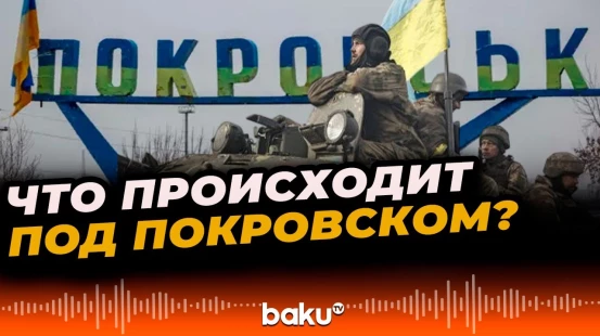BILD опубликовал сообщения украинских военных о ситуации под Покровском и Мирноградом
