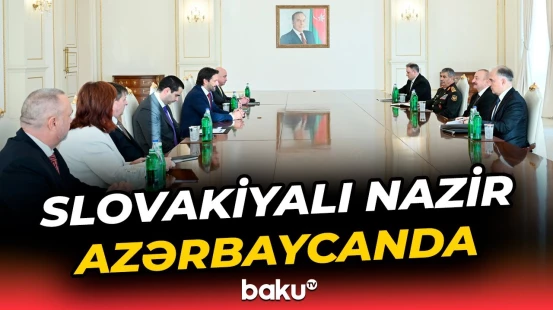 İlham Əliyev Slovakiya Baş nazirinin müavinini qəbul etdi