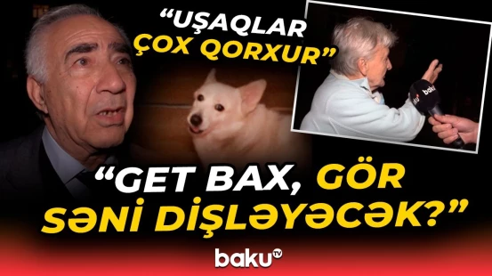 Sakinlər özündən çıxdı | Evində saxladığı itlərlə bağlı sakin nə dedi?