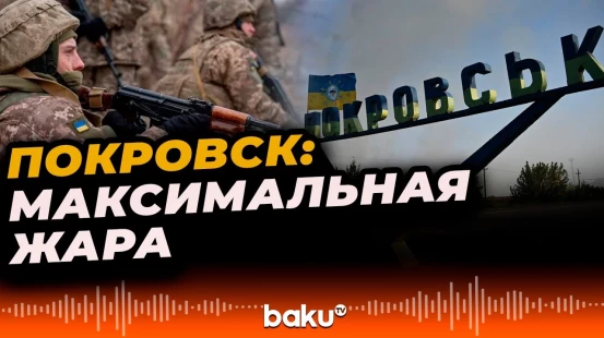 Покровское направление | Новости от Минобороны РФ и Генштаба ВСУ