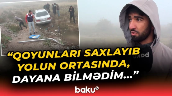 “Yeraltı keçid yoxdur ki, qoyunu keçirəsən” | Heyvanların tələfinə səbəb olan dəhşətli hadisə