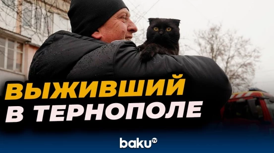Трогательные кадры спасения кота из-под завалов в Тернополе