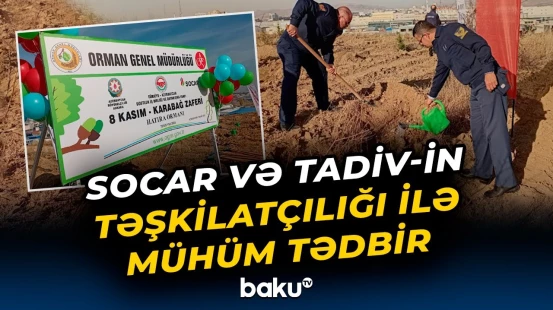 Türkiyədə 8 Noyabr - Zəfər Günü Xatirə Xiyabanı salınıb