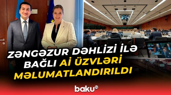 Hikmət Hacıyev Delfin Pronkla görüşüb