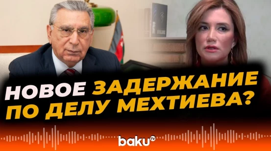 Экс-депутат Милли Меджлиса задержана в Турции по делу Рамиза Мехтиева - BAKU TV | RU