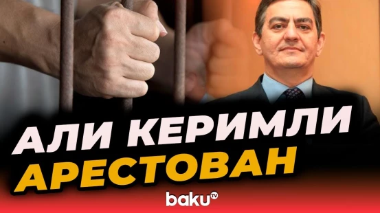 В отношении председателя ПНФА Али Керимли избрана мера пресечения в виде ареста - BAKU TV | RU