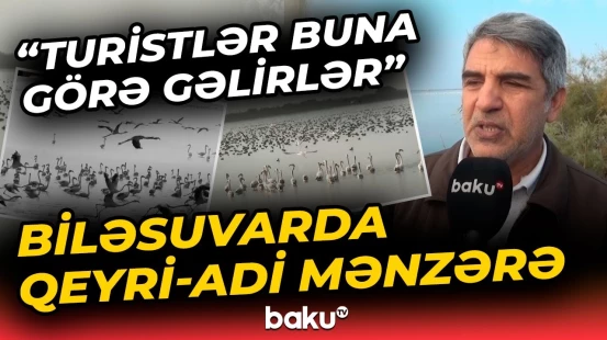"Belə şey görməmişdim" | Biləsuvarda nadir təbiət mənzərəsinə səbəb olan hadisə - Baku TV