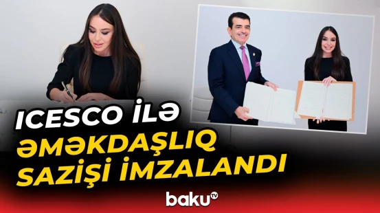 Heydər Əliyev Fondu Nigerdə sosial layihələr icra edəcək - Baku TV