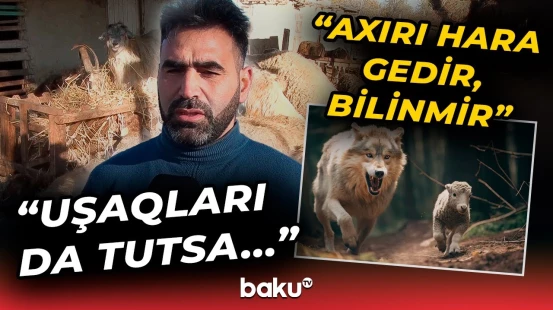 “Girib hamısını məhv ediblər” | Kürdəmir sakini dəhşətli hücumdan danışdı - Baku TV