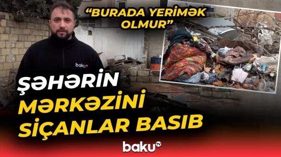 Maşının üstünə çıxır, altına girir | Siçanların əlindən təngə gələn sakinlər - Baku TV