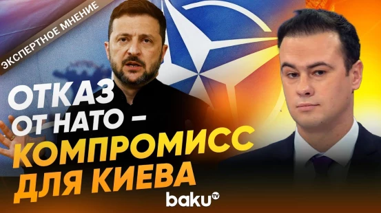 Максим Яли о готовности Украины отказаться от вступления в НАТО - Baku TV | RU