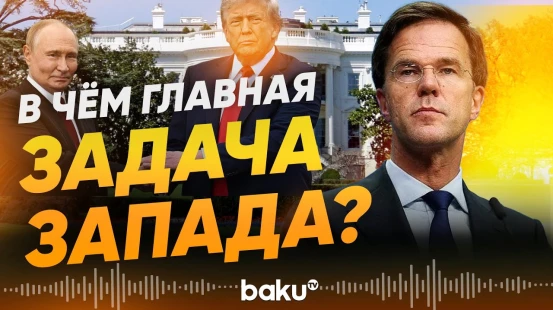 Генсек НАТО Марк Рютте дал интервью изданию BILD - Baku TV | RU