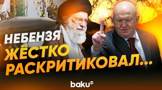 Небензя выступил на заседании СБ ООН по иранской ядерной программе