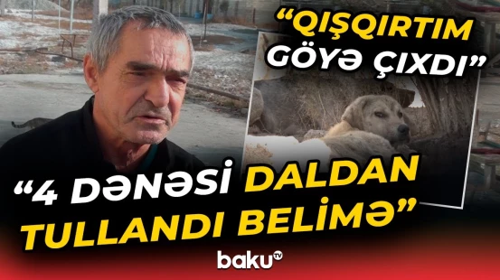 "Altlarında idim, nə qədər əlləşdimsə..." - Burada yaşayan hamı qorxu içindədir - Baku TV
