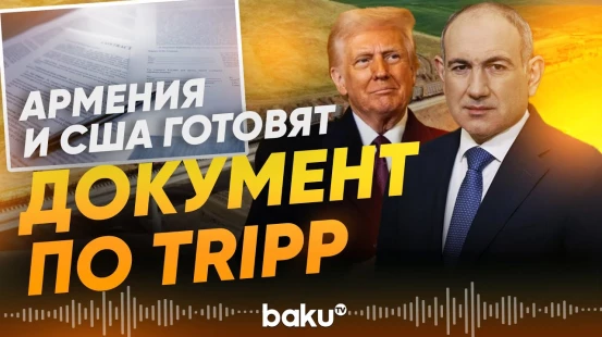 Никол Пашинян о «Маршруте Трампа» | TRIPP - Baku TV | RU