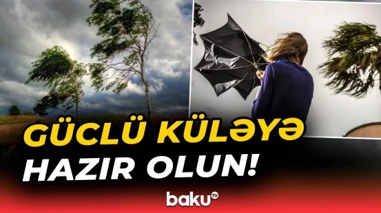 Həftənin ilk gününün havası açıqlandı - Baku TV