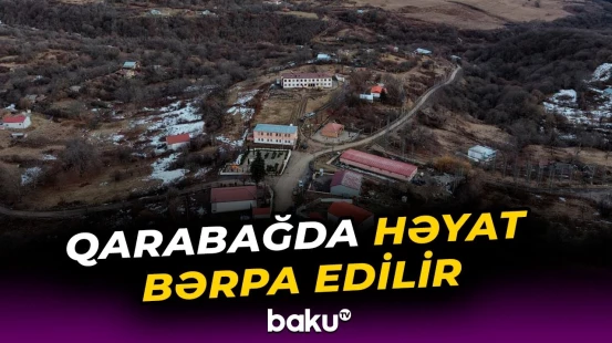 İş yerləri ilə bağlı heç bir problem olmayacaq | İlham Əliyev - Baku TV