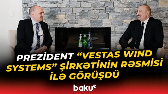 İlham Əliyev "Vestas Wind Systems" şirkətinin baş vitse-prezidenti ilə nələri müzakirə etdi?