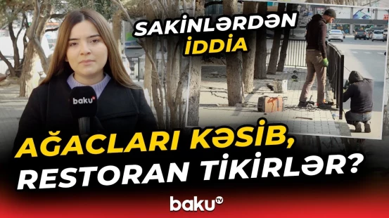 Əhmədlidə yaşıllıq sahə dağıdılır? | Sakinlərin iddiasına qurumdan cavab necə oldu? - Baku TV