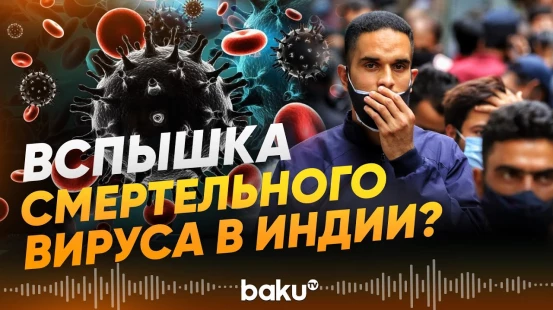 Власти Индии пытаются сдержать вспышку опасного вируса - Baku TV | RU