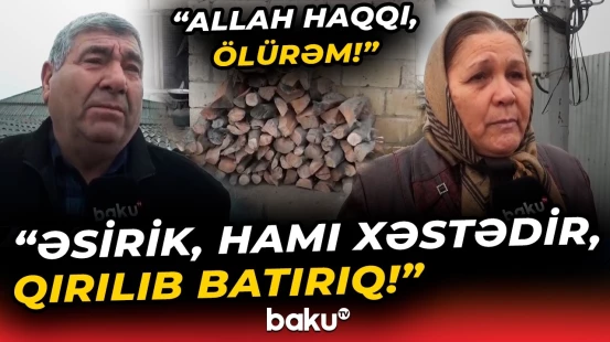 "Uşaqlar qırılır odun yandırmaqdan!" - Acınacaqlı halda qalan kənd sakinlərinin fəryadı - Baku TV