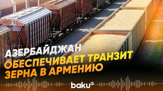 Через Азербайджан в Армению направлены 25 вагонов российского зерна - Baku TV | RU