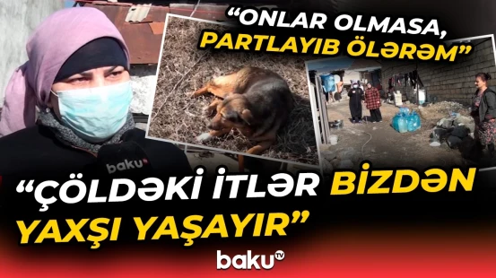 “Evdən ilan, danadişi çıxır" | Acınacaqlı vəziyyətdə yaşayan ailə imdad dilədi - Baku TV