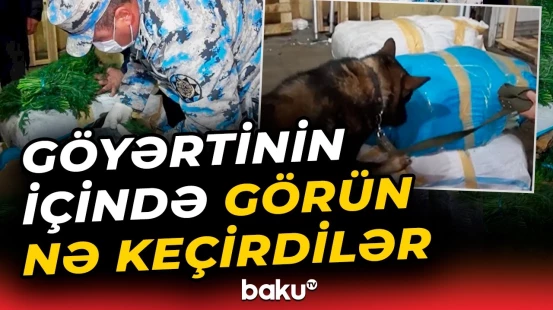 Dövlət Gömrük Komitəsi əməliyyat keçirdi | Gizlədilən qablaşdırmalar ortaya çıxdı - Baku TV