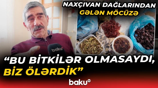 İnsan sağlamlığının dərmanı olan bitkilər | Naxçıvan dağlarının əvəzsiz nemətləri - Baku TV