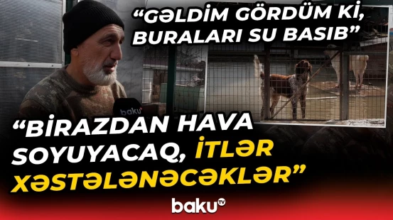 Hövsanda su borusu partladı, heyvan sığınacağını su basdı - Baku TV