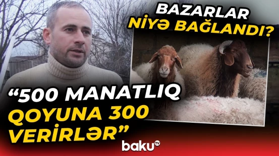 “Bilmirəm ki, heyvanı harada satım” - Fermerlər çarəsiz halda | “Bu işi dayandırmalıyıq” - Baku TV