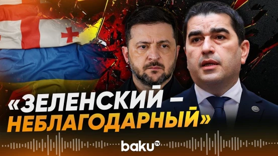 Спикер парламента Грузии Папуашвили раскритиковал Зеленского - Baku TV