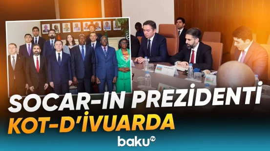 Kot-d’İvuar ilə Azərbaycan arasında enerji sahəsi ilə bağlı mühüm müzakirələr aparıldı - Baku TV