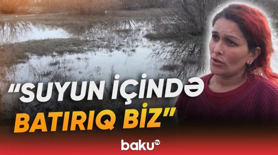 Ucarda həyətləri və zirzəmiləri su basdı - Baku TV