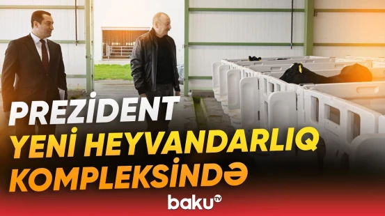 Ən son texnologiyalarla təchiz edilən "Şirvan Aqro" heyvandarlıq kompleksi açıldı - Baku TV