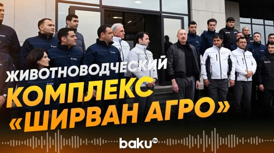 Президент принял участие в открытии животноводческого комплекса в Шамахы - Baku TV | RU