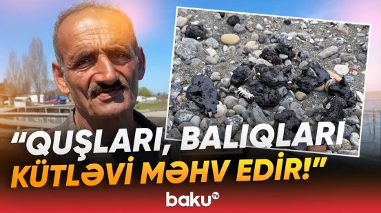 "Buna nə deyəcəklər?!" - Dənizin sahilində qəribə mənzərə | "Hamısı zəhərlənib" - Baku TV