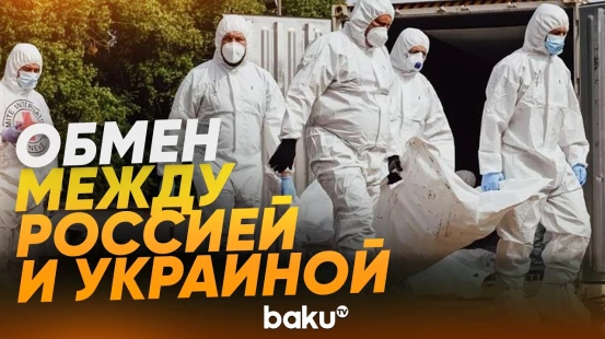Россия и Украина провели обмен телами погибших военных - Baku TV | RU