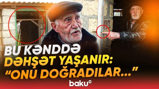 “Qorxudan yatmırıq” | İnsanların həyatını kabusa çevirdilər: "Qəbiristanlıqda da olur" - Baku TV