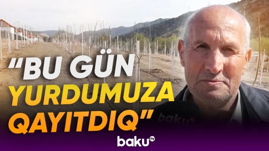 Laçının “Bəylik Bağları”nda ağacəkmə aksiyası keçirilib - Baku TV