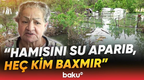"Hər yer suyun içindədir, artıq batıb" | Sakinlər çətin durumda | Kürün səviyyəsi qalxdı - Baku TV