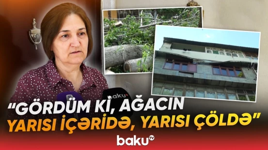 Mingəçevirdə güclü külək fəsadlara səbəb oldu | Aşan ağaclar mənzillərə ziyan vurdu - Baku TV
