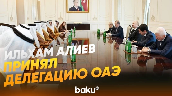 Президент принял делегацию во главе с госминистром МИД ОАЭ - Baku TV | RU