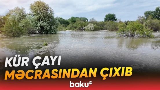 Sabirabad rayonunda Kür çayı bəndi yardı - Baku TV