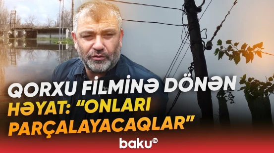 “Nə vaxtacan qorxu içində yaşayaq?!” - Dəhşət içində qalan sakinlər: “Mənə bunu edibsə...” - Baku TV