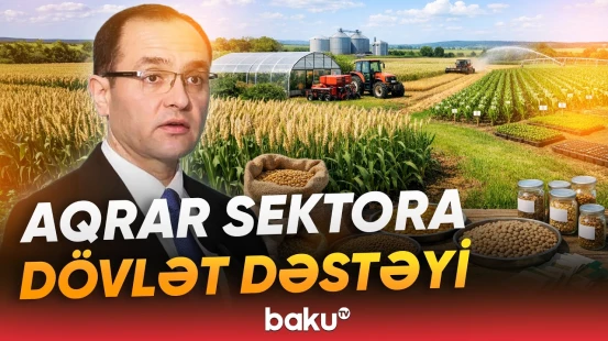 Fermerlərə nə qədər əkin subsidiyası verilib? - Nazir görülən işlərdən danışdı - Baku TV