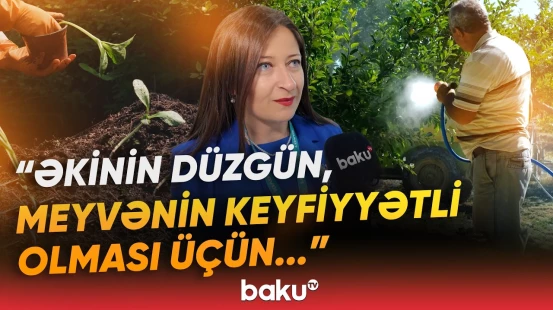 Bağçılıqla məşğul olanlara etibarlı tərəfdaş: Məşhur İtaliya şirkəti “Caspian Agro Week”də - Baku TV