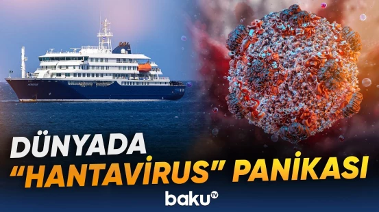 Bir sıra Avropa ölkəsi hantavirus riskinə qarşı hazırlıq görür - Baku TV