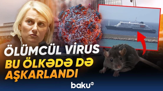 Dünyanı qorxuya salan yeni virus | Təcili tədbirlər görülür - Baku TV