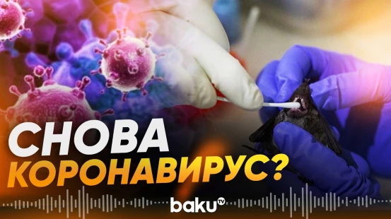 В Таиланде подтвердили обнаружение нового коронавируса - Baku TV | RU